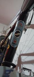 Bicicletta Giant da  corsa