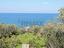 Immagine 13