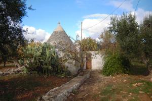 Trulli in agro di Putignano
