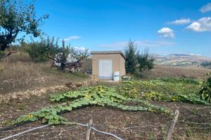 Terreno agricolo edificabile