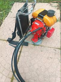 Decespugliatore Kawasaki TD 33 