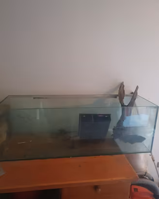 Acquario 