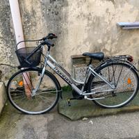 Bicicletta con marcie, cestino e porta pacchi