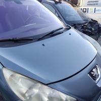 Cofano PEUGEOT 207 del 2007