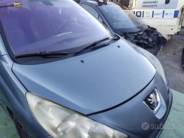 Cofano PEUGEOT 207 del 2007