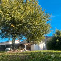 Abitazione 200mq con terreno zona cassino