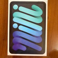 iPad mini (6th Generation) Wi-Fi + Cellular 256Gb