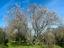 Immagine 12