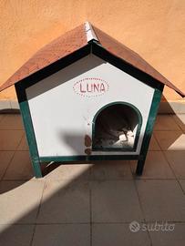 cuccia per cane