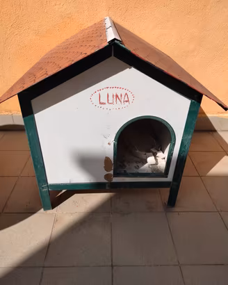 cuccia per cane