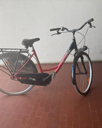 Bicicletta