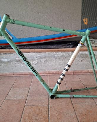 Bicicletta Bianchi Sprint Campione 1973-74
