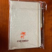 Agenda con penna, fogli a righe