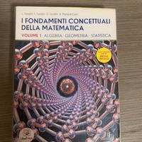 I fondamenti concettuali della matematica - Vol.1