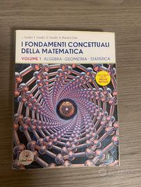 I fondamenti concettuali della matematica - Vol.1