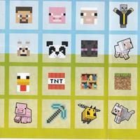 conad toppe minecraft Scambi