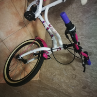 Bicicletta di violetta