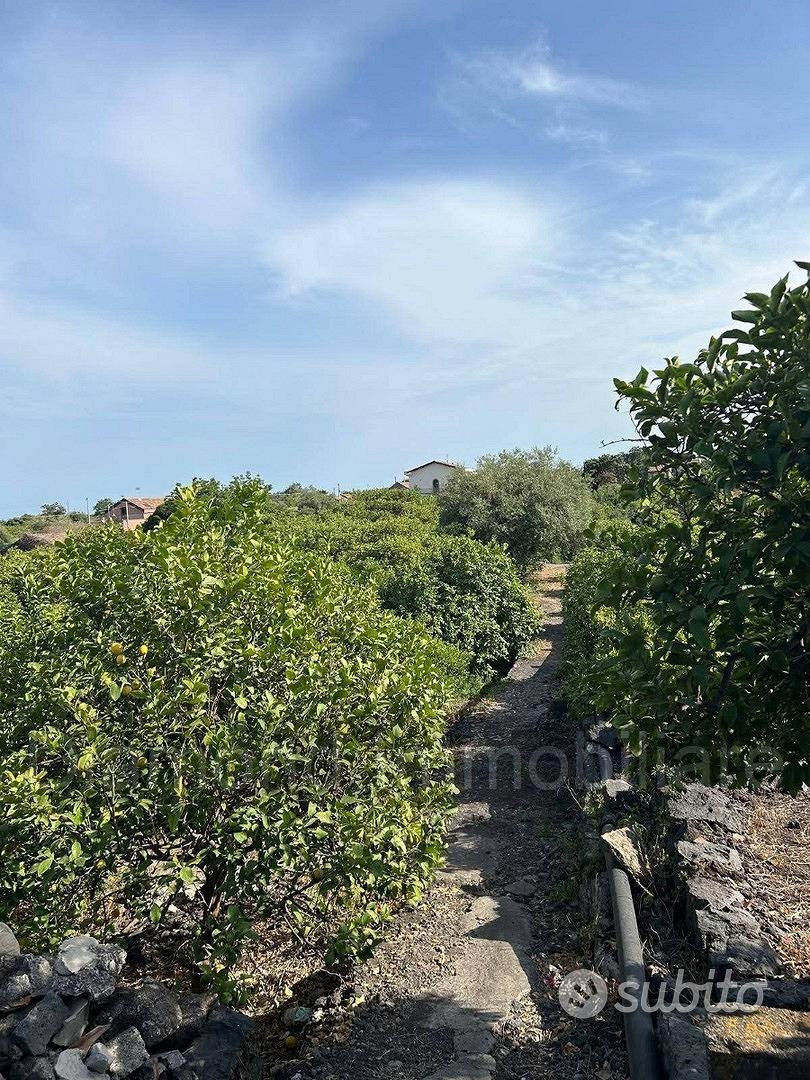Limoneto con rustico a Pozzillo - Acireale - Vista 3