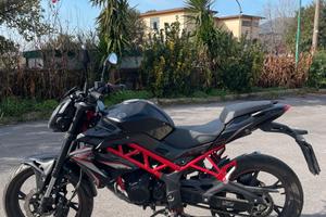 Benelli BN 125 - 2024