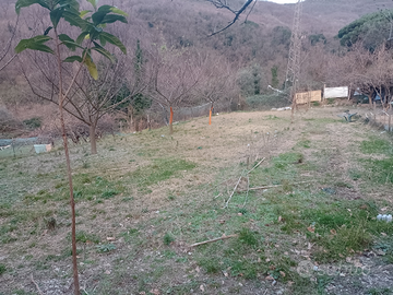 Appartamento stato buono abitabile