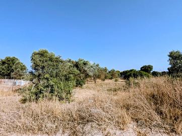 TER. AGRICOLO A SELARGIUS
