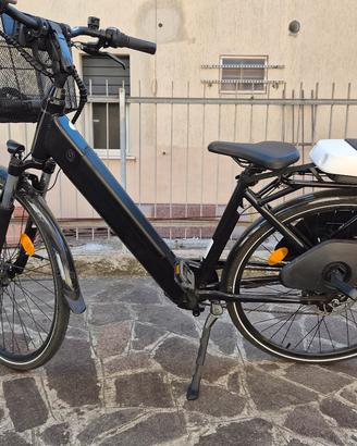 Bici elettrica 