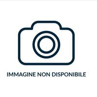 CENTRALINA ECU QD DUCATI STREETFIGHTER PANIGALE V4