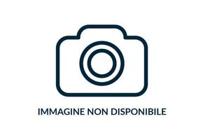 CENTRALINA ECU QD DUCATI STREETFIGHTER PANIGALE V4