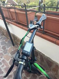 Bici elettrica
