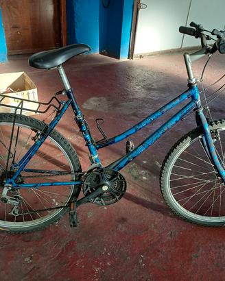 mountanbike 
