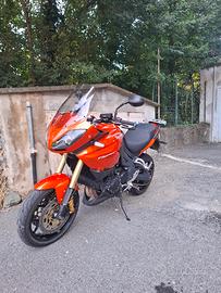 triumph tiger 1050