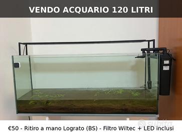 Acquario 120 litri