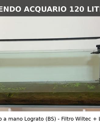 Acquario 120 litri