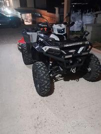 Quad polaris xp 1000 s