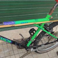 MTB Bianchi ragno