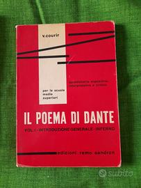 Questionario sandron 