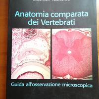 Anatomia comparata dei vertebrati