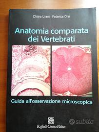 Anatomia comparata dei vertebrati