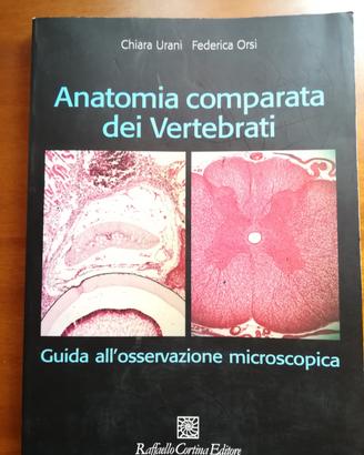 Anatomia comparata dei vertebrati