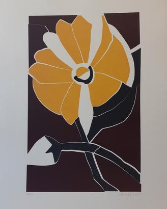 Serigrafia  di UGO NESPOLO