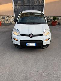Fiat panda 2021