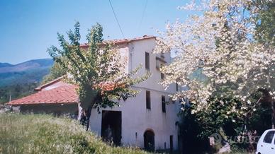 Casale con terreno