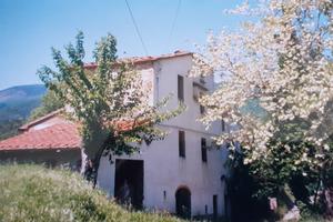 Casale con terreno