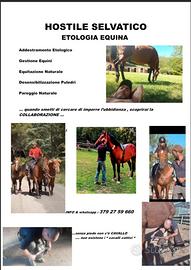 Addestramento Cavalli & Pareggio Equini