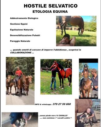Addestramento Cavalli & Pareggio Equini