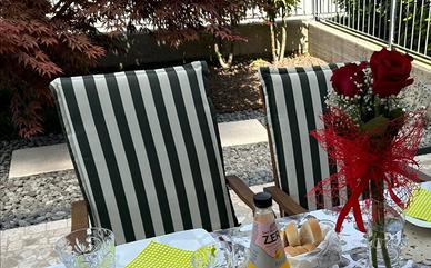  4 cuscini per sedie da giardino