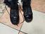 Immagine 5