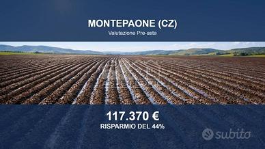 Immobile in asta di 110435 m² a Montepaone