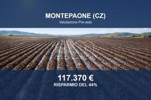 Immobile in asta di 110435 m² a Montepaone