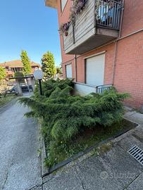 Appartamento zona residenziale